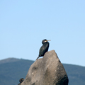 Deporte y naturaleza - Isla de Elba